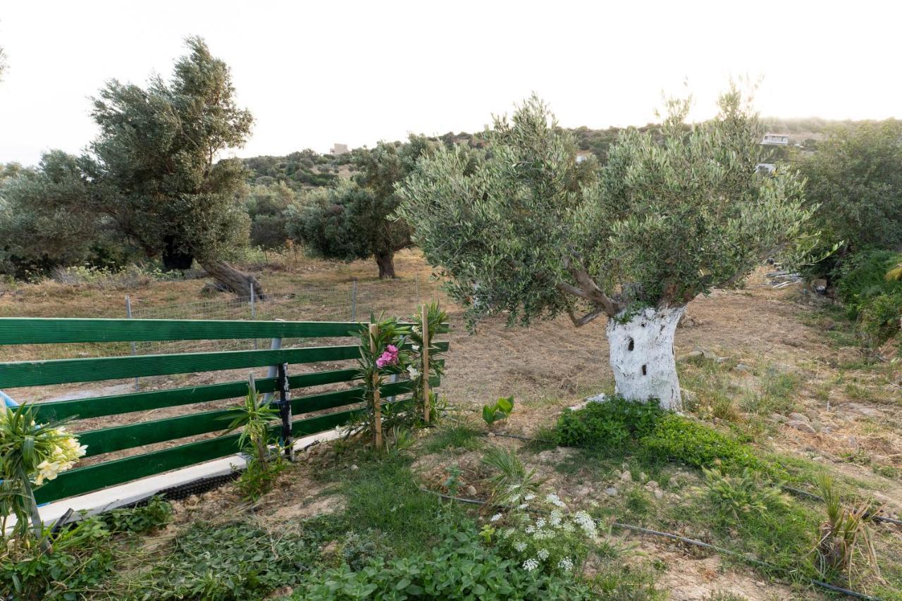 Galini House Villa Triópetra Kültér fotó